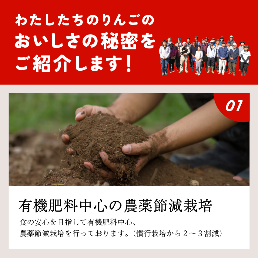 発送中「シナノゴールド3キロ箱A品B品ミックス」 農林水産大臣賞 りんご 長野県産 安曇野 信州産 産地直送