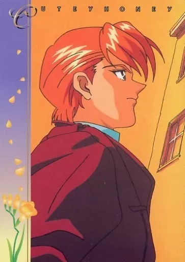 2026年最新】キューティーハニーF カードの人気アイテム - メルカリ