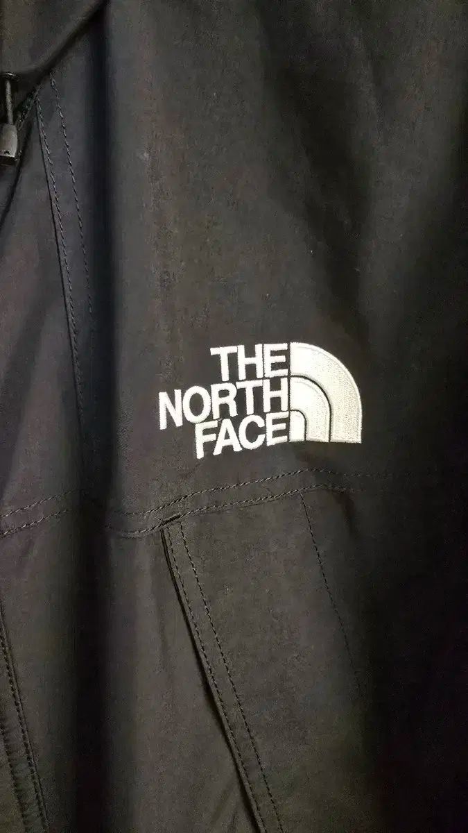 THE NORTH FACE ゴアテックス マウンテン ジャケット 日本版 100