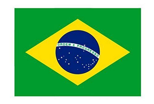 ブラジル 世界の 国旗 スポーツ 観戦 応援 各国 料理 日本 アメリカ イギリス フランス イタリア etc 90×150 (ブラジル)