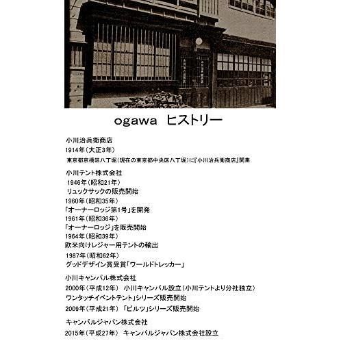 安心安全・匿名配送】☆色: ___☆ ogawa（オガワ）インフレータブル