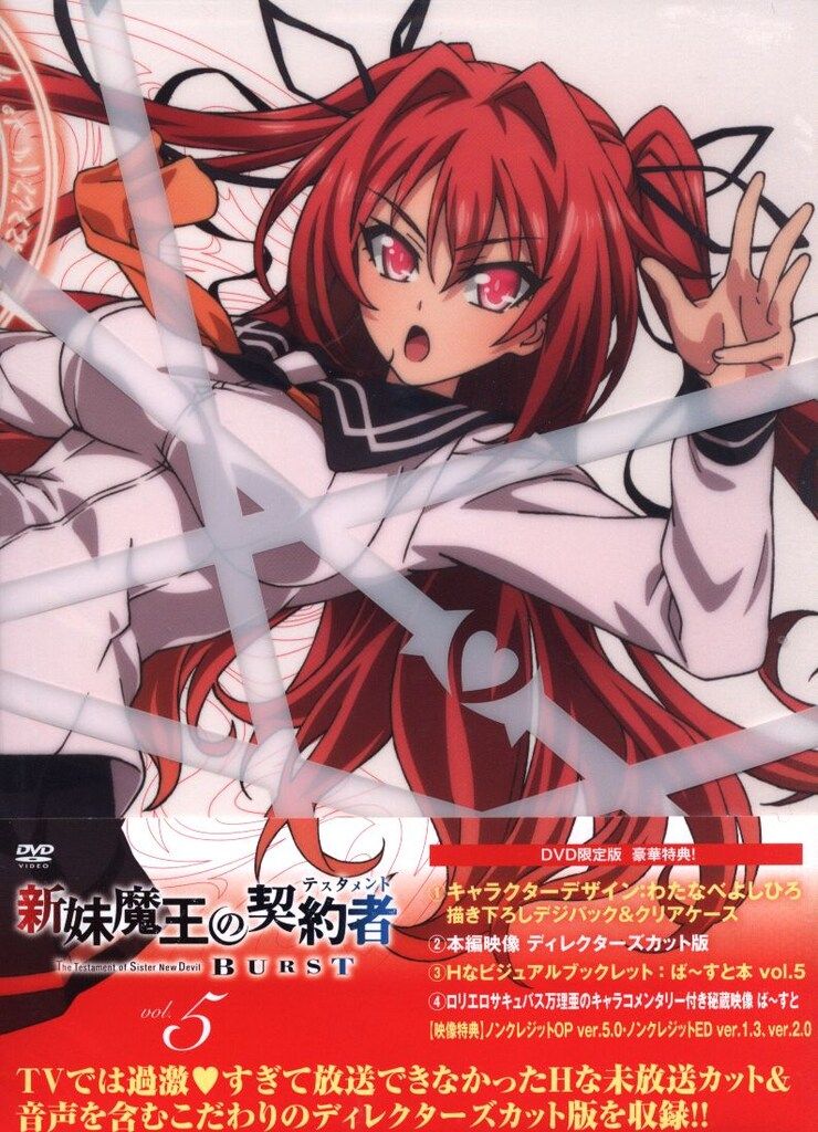 シュリンク未開封 新妹魔王の契約者 BURST 全巻 BD 小説限定版 セット アニメDVD 新妹魔王の契約者 BURST 限定版 全5巻セット - メルカリ