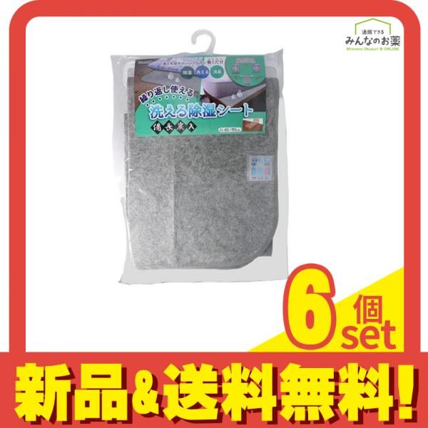 洗える除湿シート 備長炭入 ミニサイズ 65×115cm 1枚入 6個セット