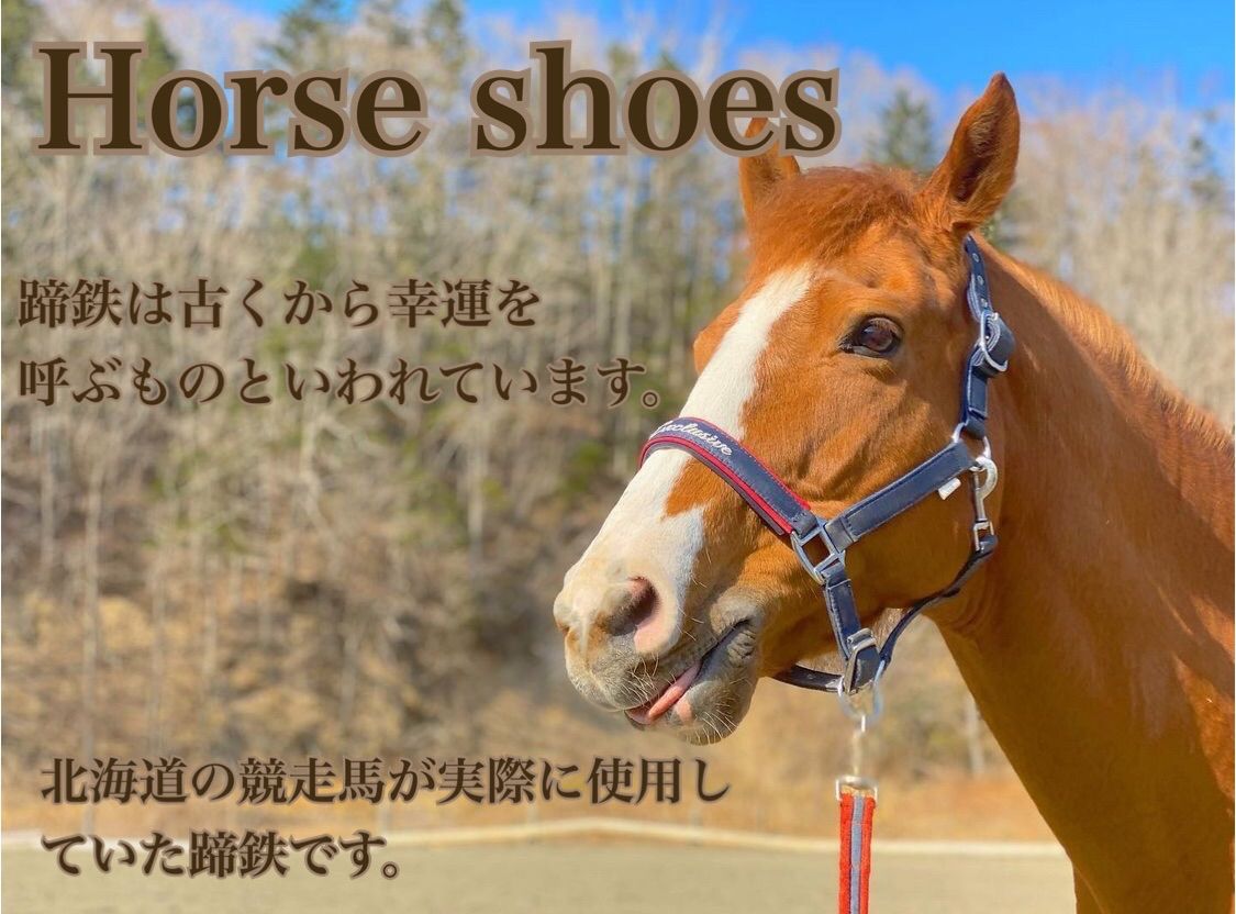 幸運を呼ぶ蹄鉄】蹄鉄 ホースシュー 馬蹄 ウェルカムボード お守り 贈り物 - メルカリ