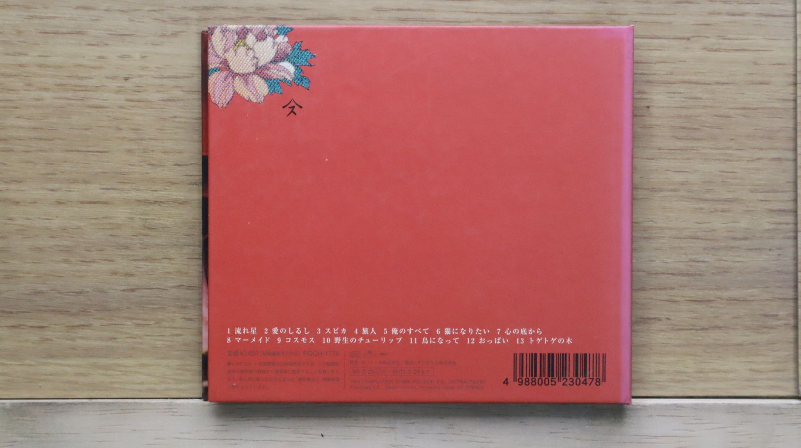 宙花 サフィニアフリル ホワイト🤍 挿し芽から育てて大きくなりました