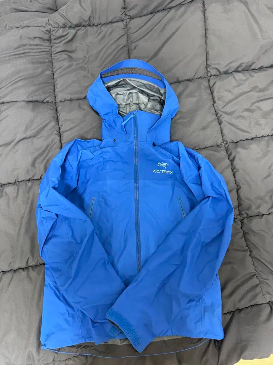 ARC TERYX アークテリクス ベータ ar フルーイディティ m