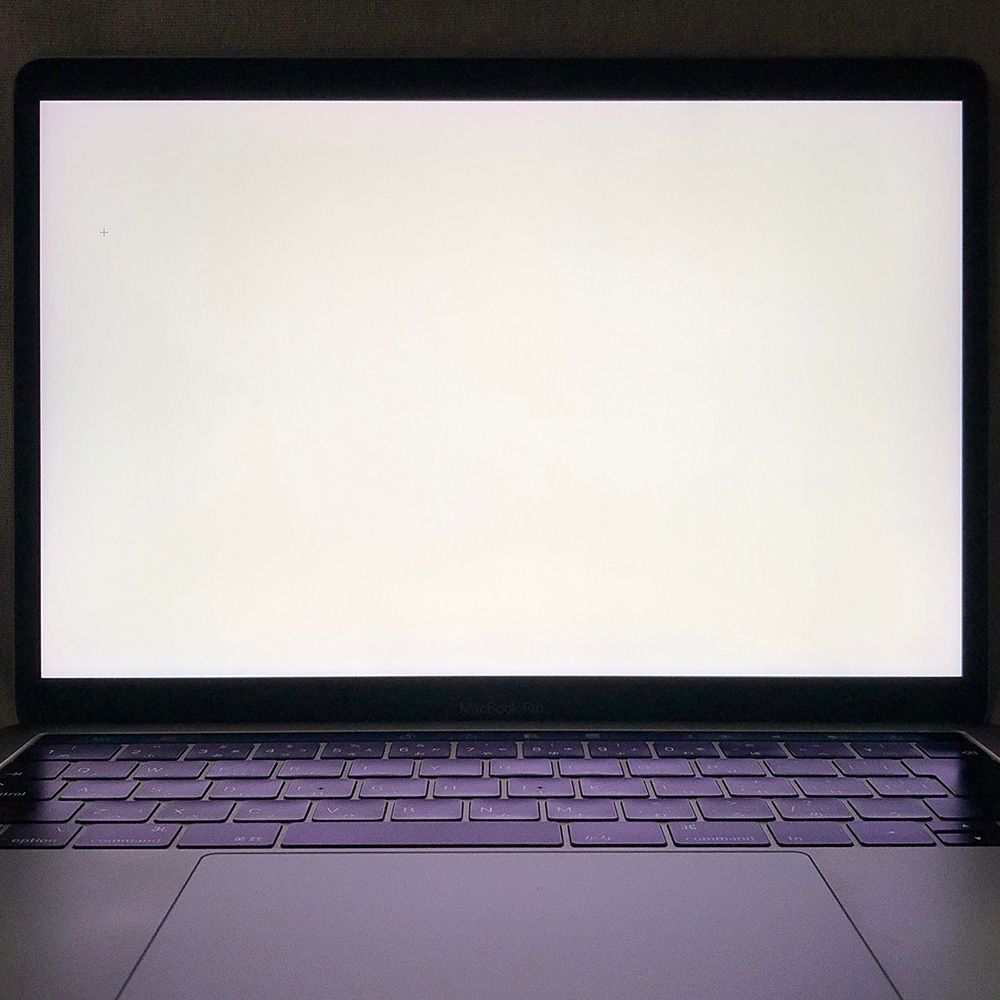 ◇ジャンク品・本体のみ◇Apple MacBook Pro (13インチ 2019