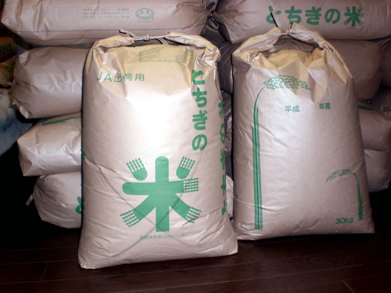 栃木米 コシヒカリ R7年産 玄米30kg 農家直送の自家米