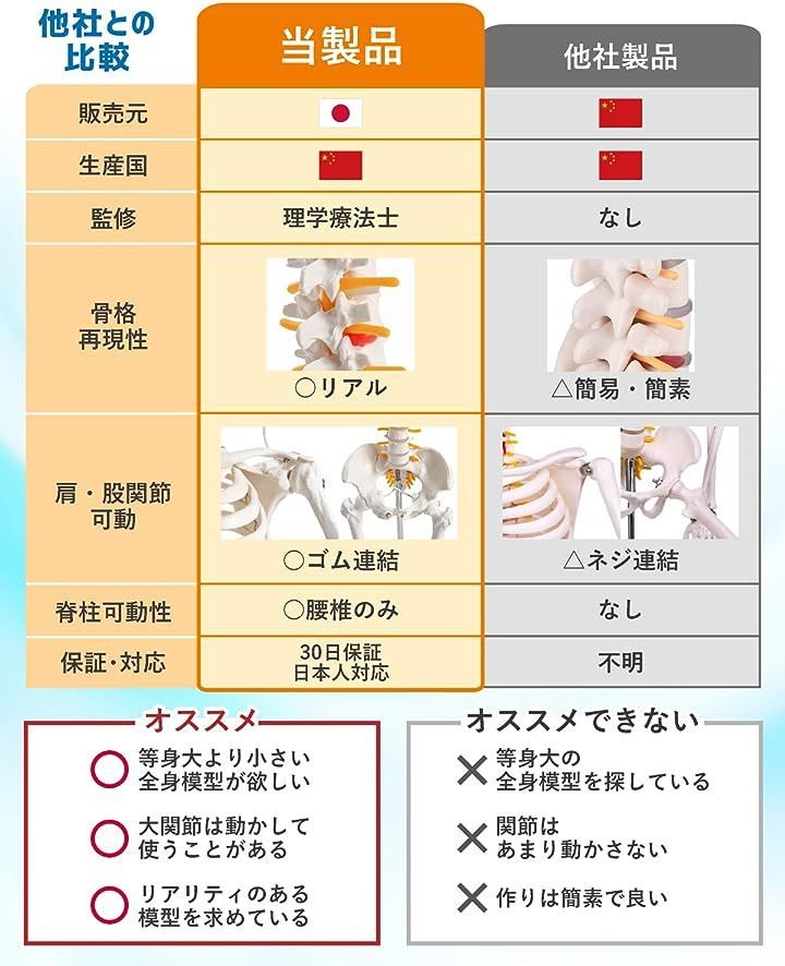 理学療法士監修 約85cm