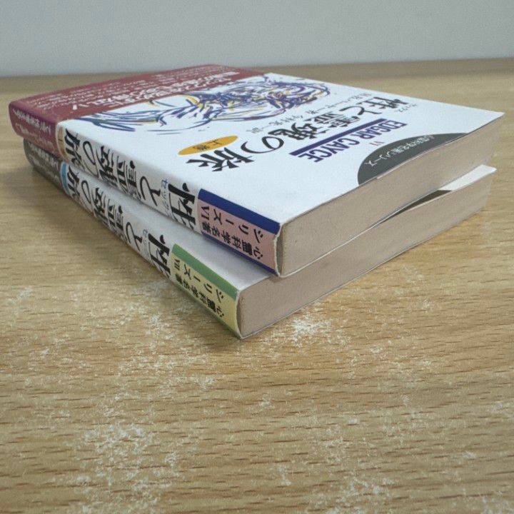 性と霊魂の旅(下)　心霊科学名著シリーズ ○01)1点限り!性(セックス)と霊魂の旅 上下巻2冊セット⁄心霊科学