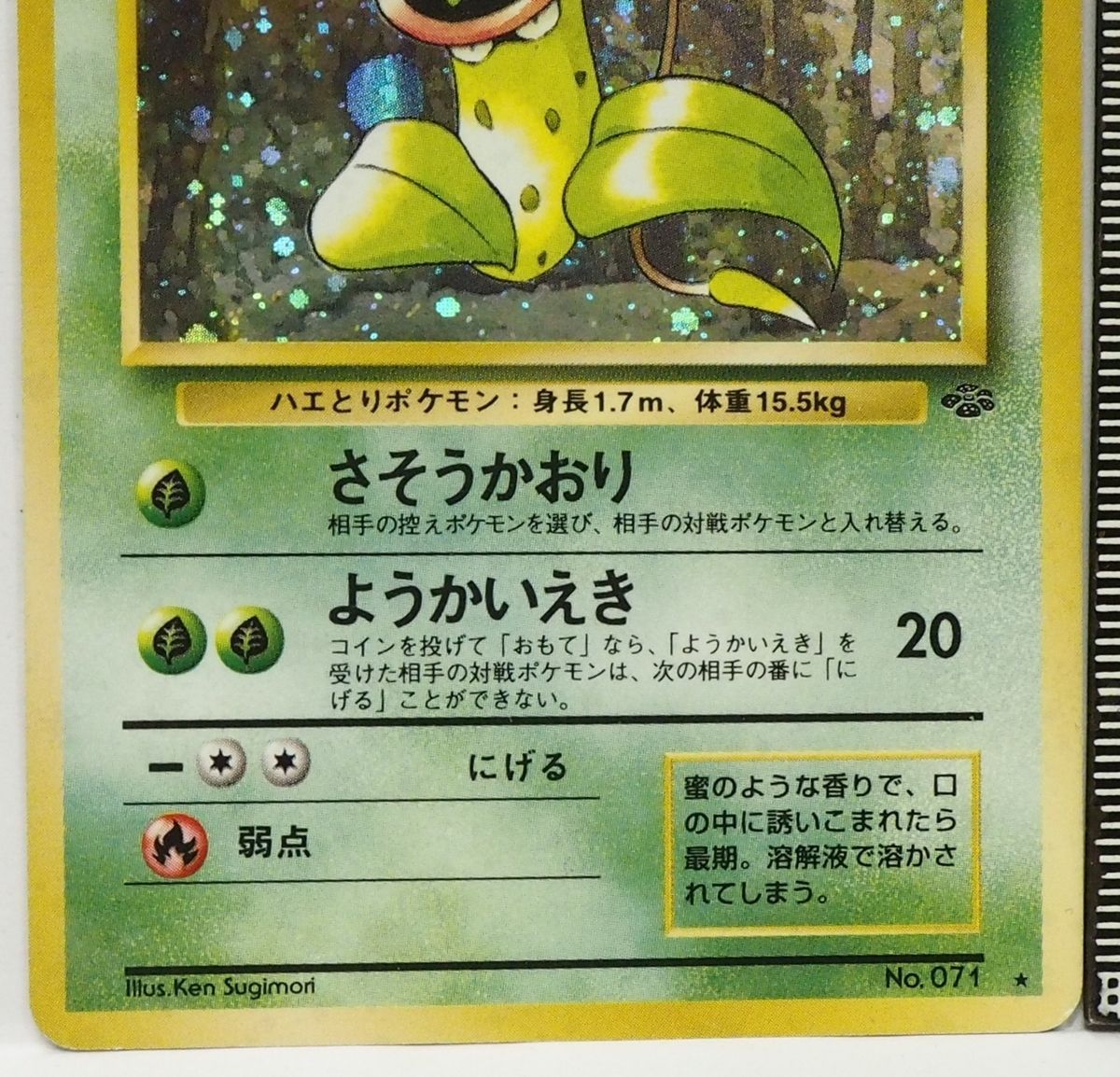 旧裏ポケモン カードゲーム拡張パック第2弾ポケモンジャングル【キラ2