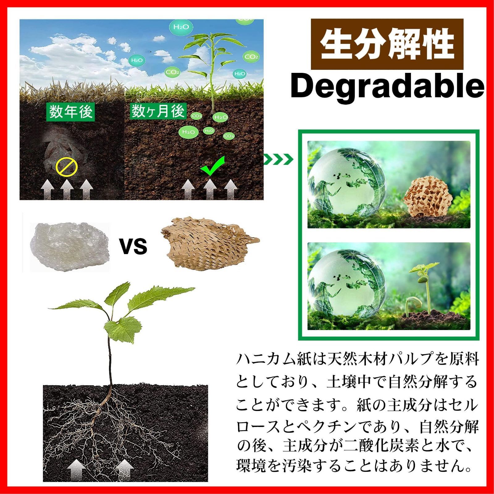 ブラウン 引っ越し