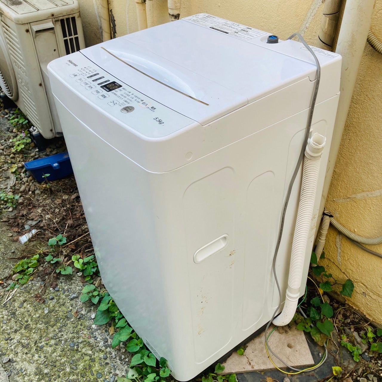 Hisense 洗濯機 HW-T55D 5.5㎏ 2020年製 ハイセンス 縦型