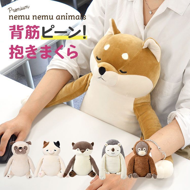 Studyaid D.B2021年物理・化学・生物セット 生物物理化学(Kensal