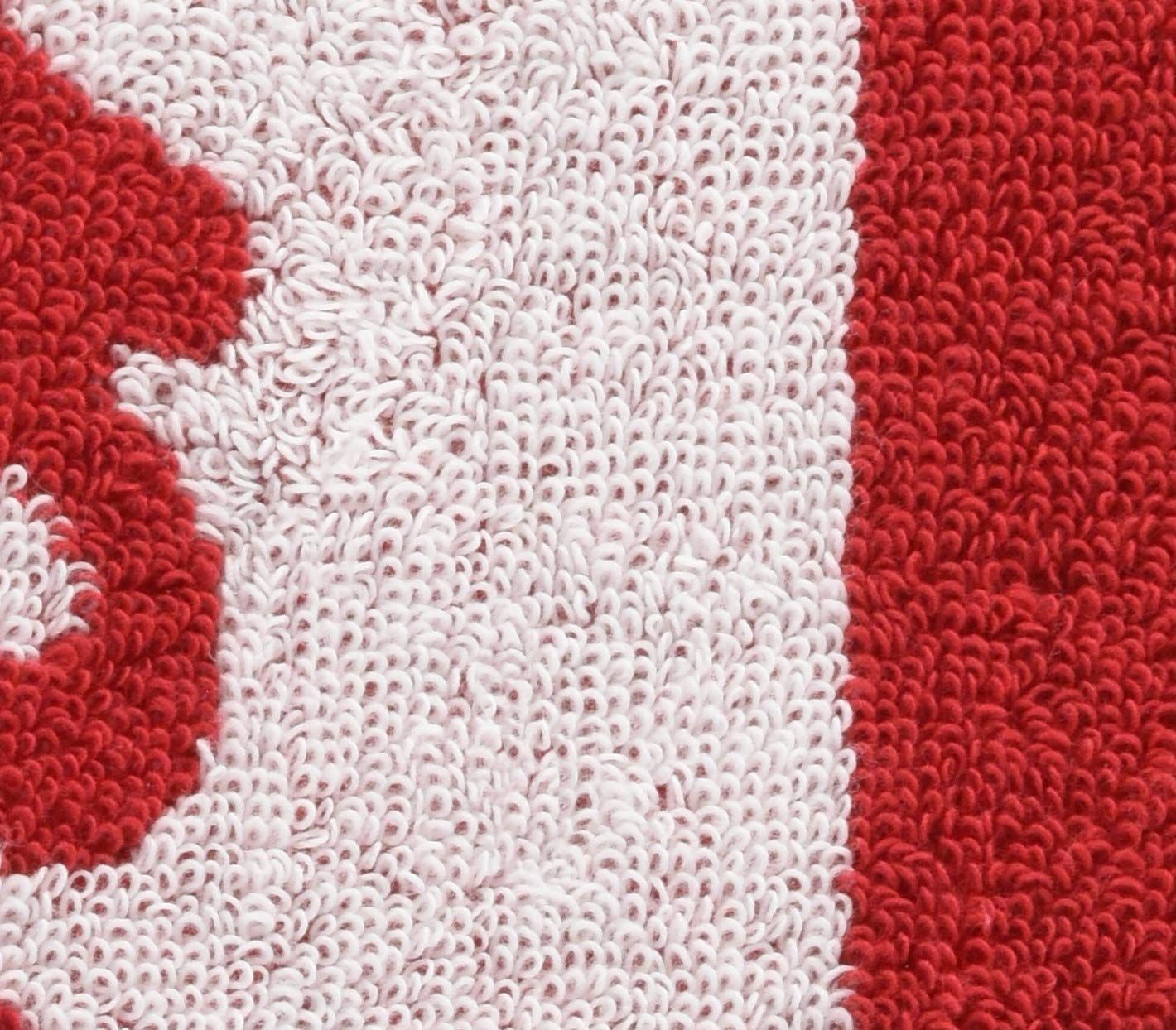 ツートンロゴ 約 レッド マフラータオル Champion チャンピオン