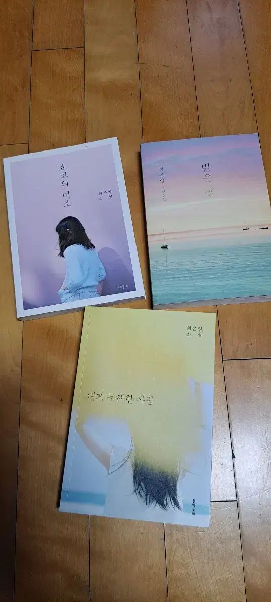チェ・ウンヨン 小説 3 巻 私に無害な人 ブライトナイト Shokoとはどういう意味ですか