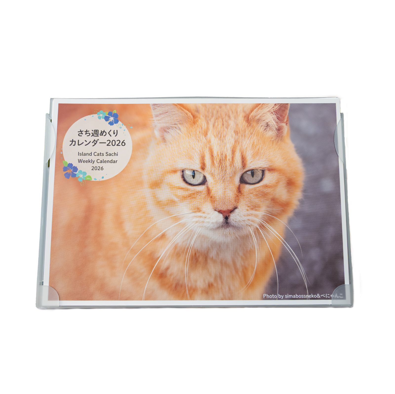 しまねこ☆いきなり購入NG☆様専用 猫さんがお手とおかわりを しまねこ☆いきなり購入NG☆様専用 猫さんがお手とおかわりを