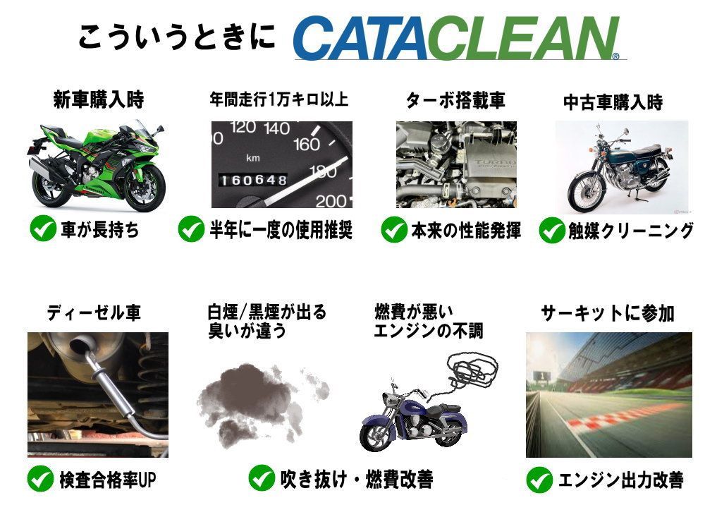 ロク　他者購入不可 CATACLEAN (バイク用) エンジンシステム洗浄剤 特許取得済 燃料添加剤