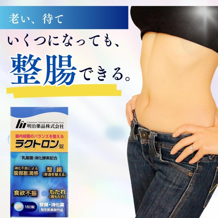 明治薬品 ラクトロン 180錠 ラクトロン 180錠×3袋 ラクトロン錠 180粒 整