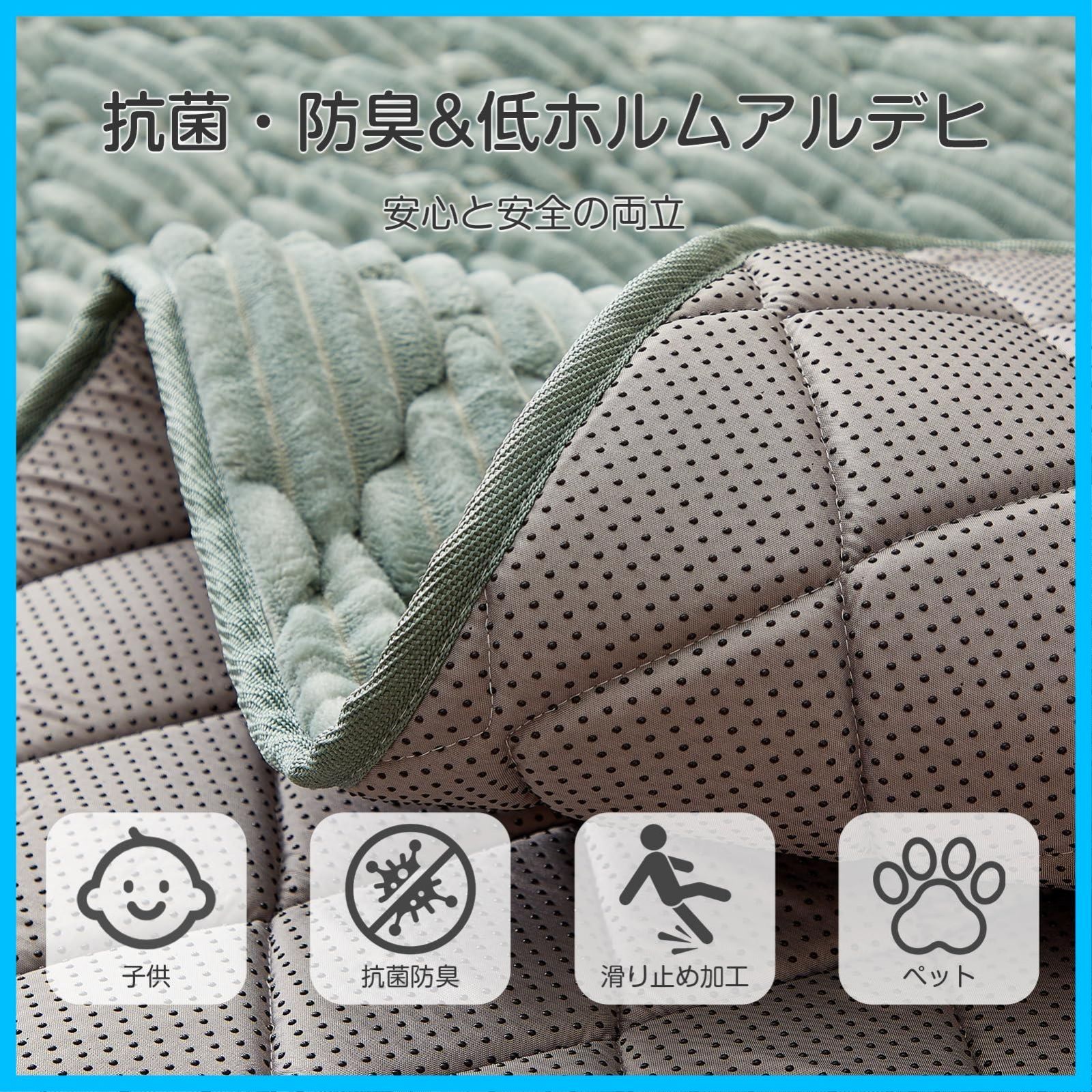 ラグ