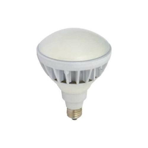 2営業日で発送 日動工業 L20W-JW110-50K LED交換球 ハイスペック エコビック 20W 14155 1617590