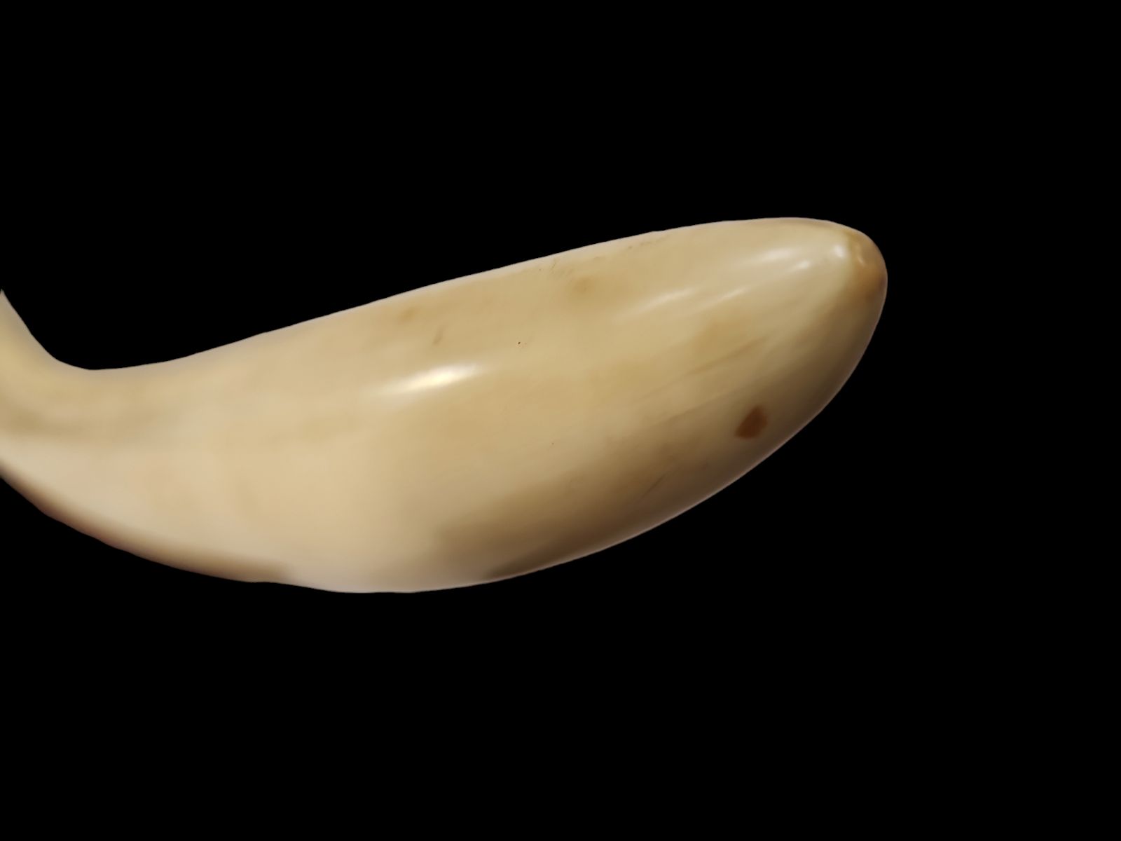 象牙風置物 練り物 一本 マンモス 特大 象牙風 置物 オブジェ