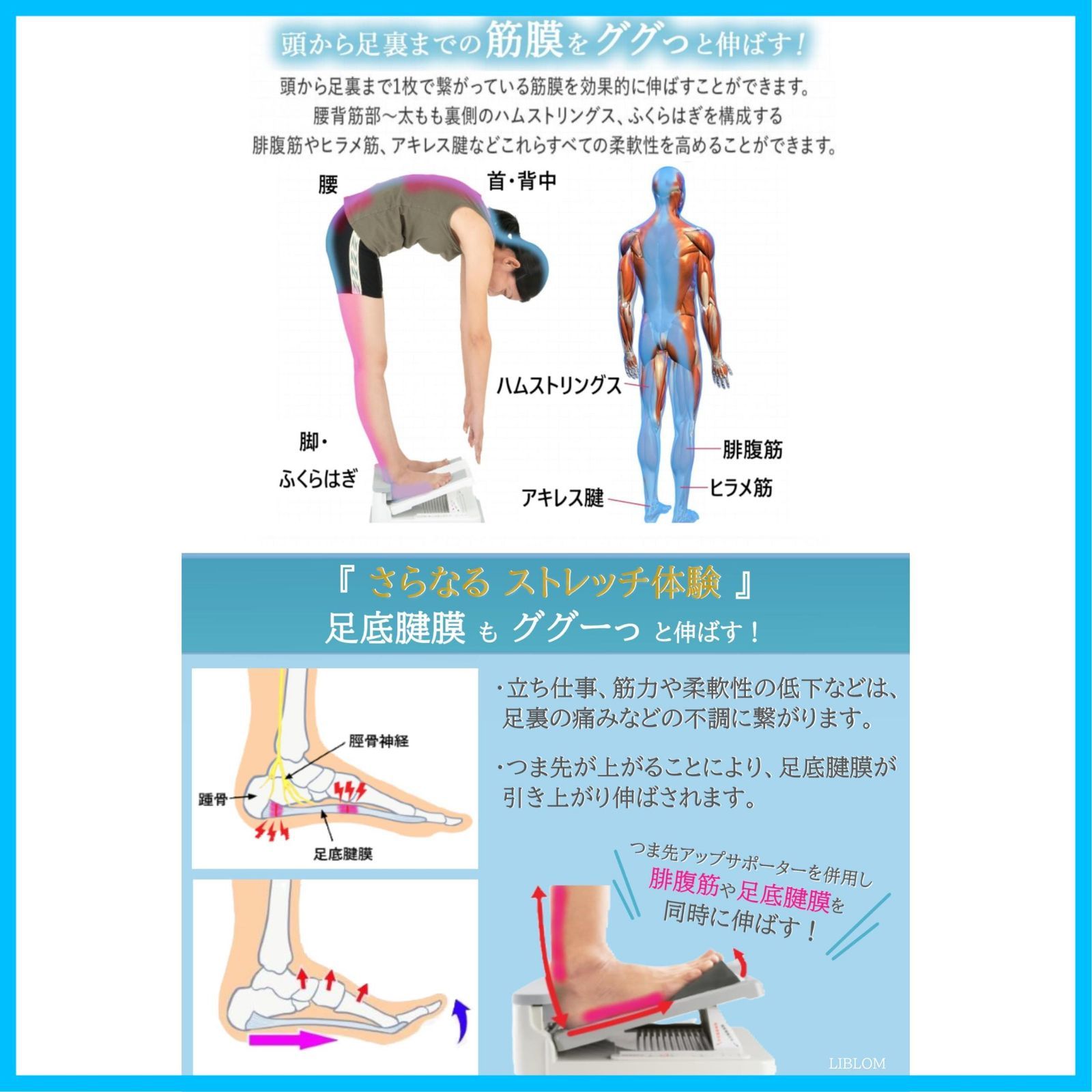 アキレス腱 足底筋膜