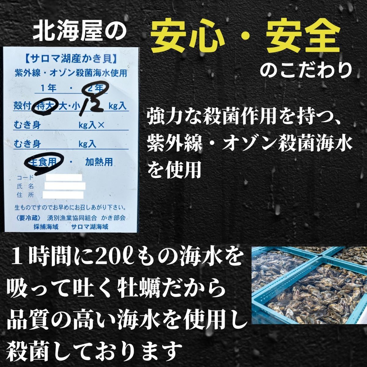 北海道 牡蠣 3Kg カキ サロマ湖産 生カキ 産地直送 生食用 殻付