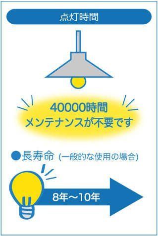 在庫セール】DSL-4901YWG 2700K 電球色 14.5W LED スポットライト 大光