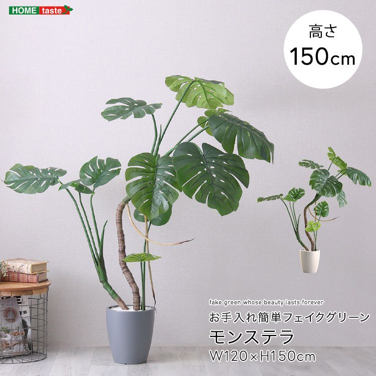 お手入れ簡単フェイクグリーン モンステラ Mサイズ 2801