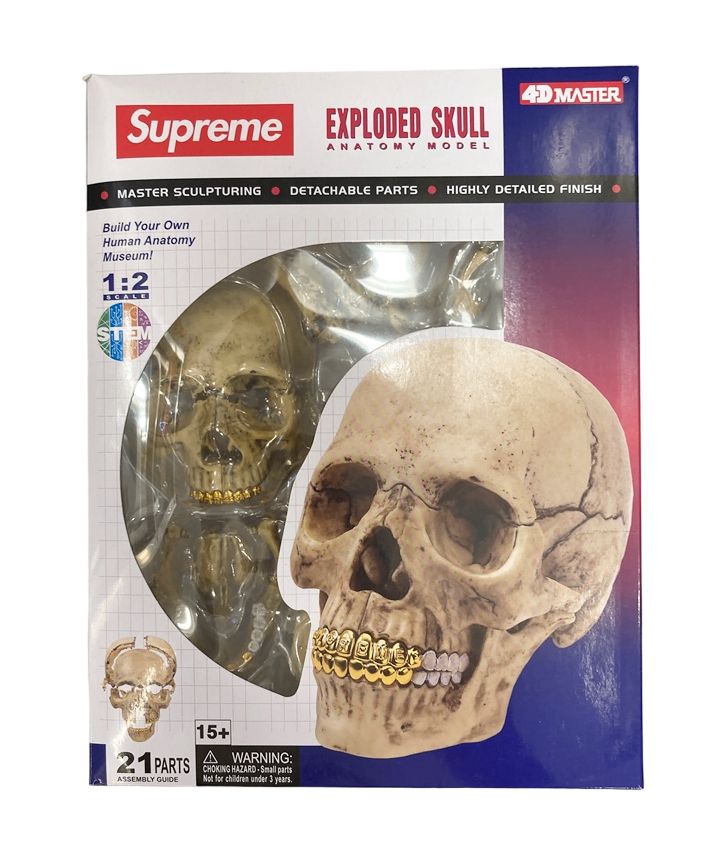 シュプリーム SUPREME 4D Model Human Skull スカルパズル 4D