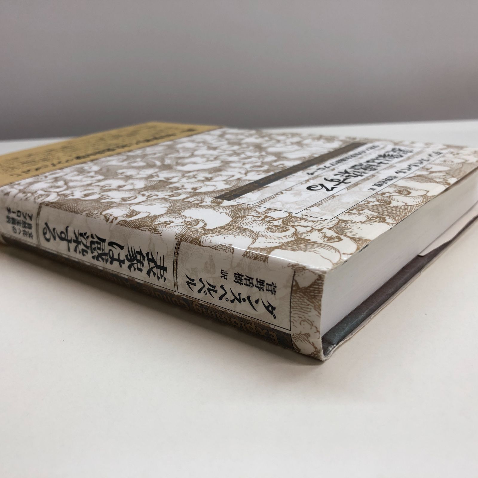 【中古】 表象は感染する 文化への自然主義的アプローチ/新曜社/ダン・スペルベル 表象は感染する 文化への自然主義的アプローチ 中古本・書籍