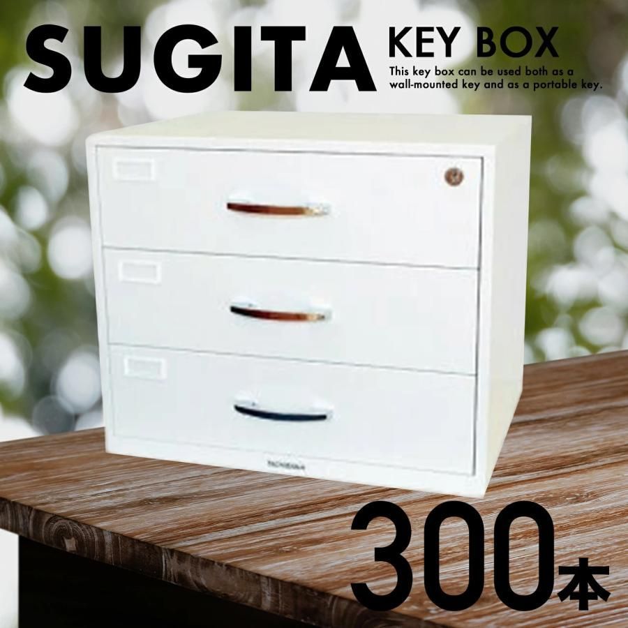 エースキーボックス 300本用 ホワイト D-300N 杉田エース キーボックス キーキャビネット 物件管理 キーステーション