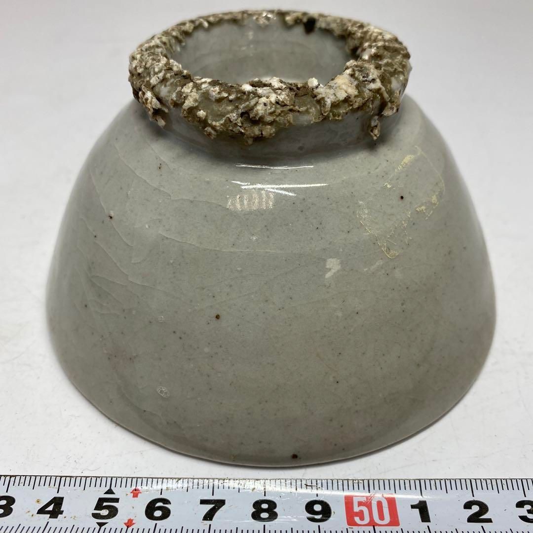 東H5-0903 タサチ