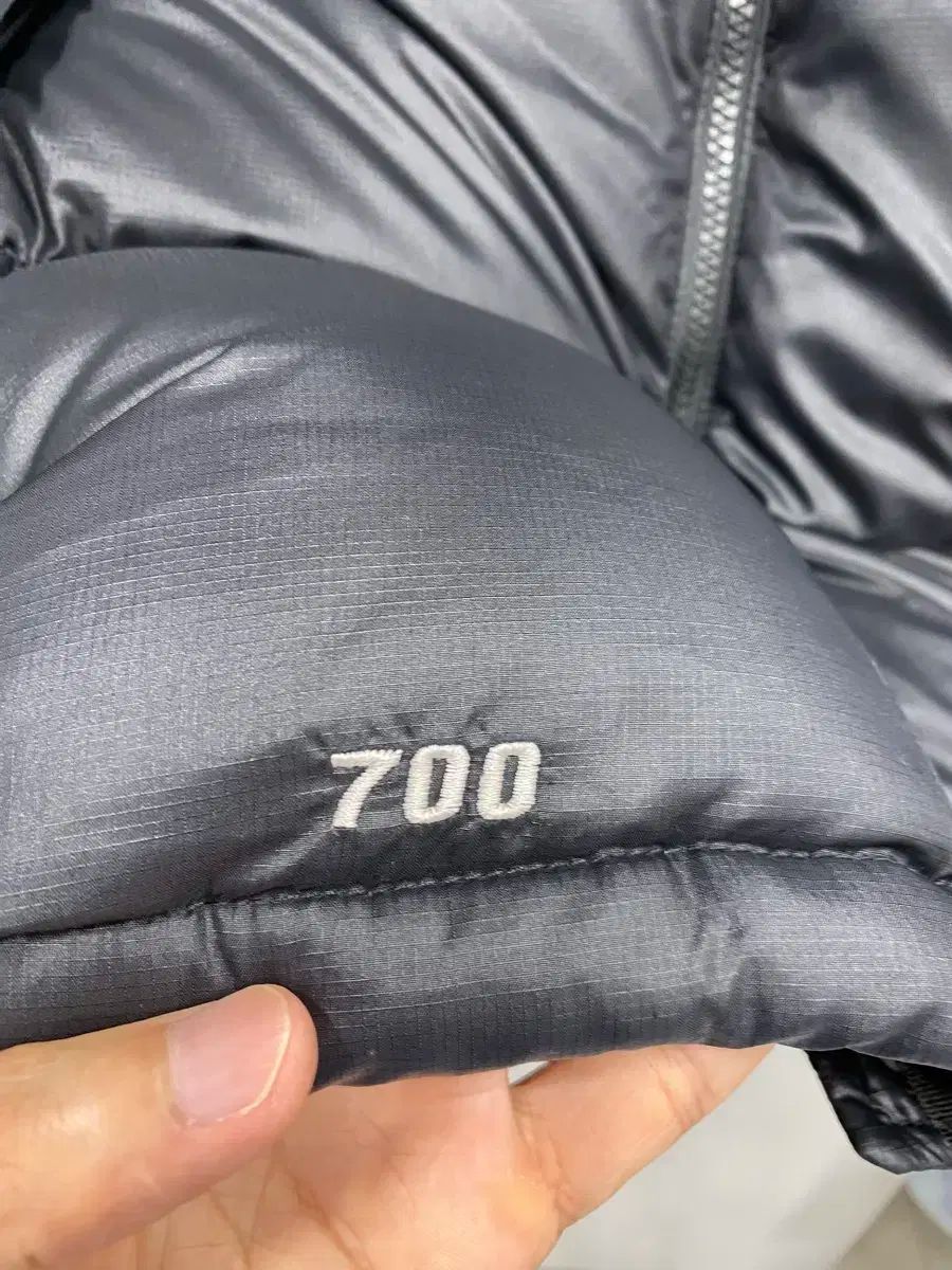 L 表記M THE NORTH FACE ザノースフェイス 旧モデル GOLDWIN Nuptse ヌプシ 700 ダウンベスト ブラック