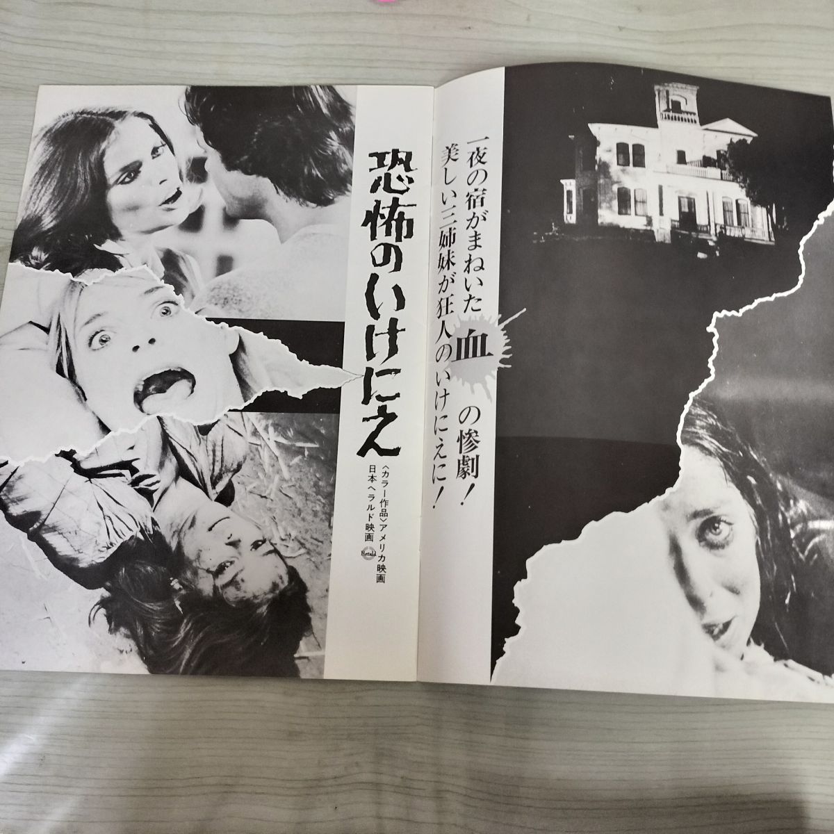 映画パンフレットまとめて　21冊 映画パンフレットまとめて 21冊｜Yahoo!フリマ（旧PayPayフリマ）
