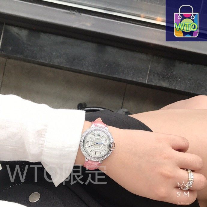 超新鮮! Euphorbia hadramautica 種子 3粒 ユーフォルビア