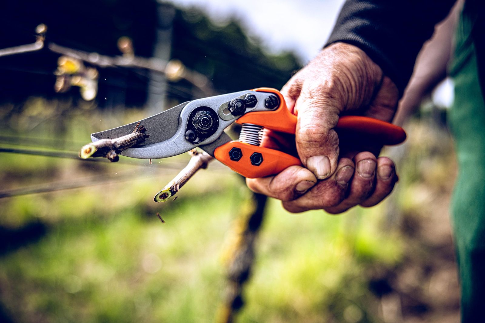 LOWE ライオン 剪定鋏 強力型 超軽量 11104 WWW_GEBZETESISAT_COM_TR