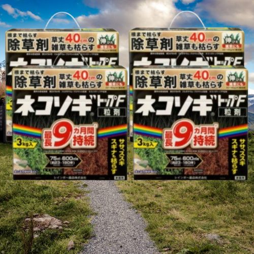 4個セット レインボー薬品 除草剤 ネコソギトップF粒剤 3kg 粒剤 粒 長期持続 雑草