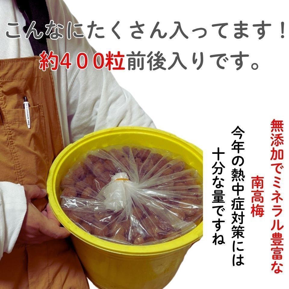 限定！ 紀州南高梅 樽 4kg 梅 無添加 和歌山 紀州 白梅 - メルカリ
