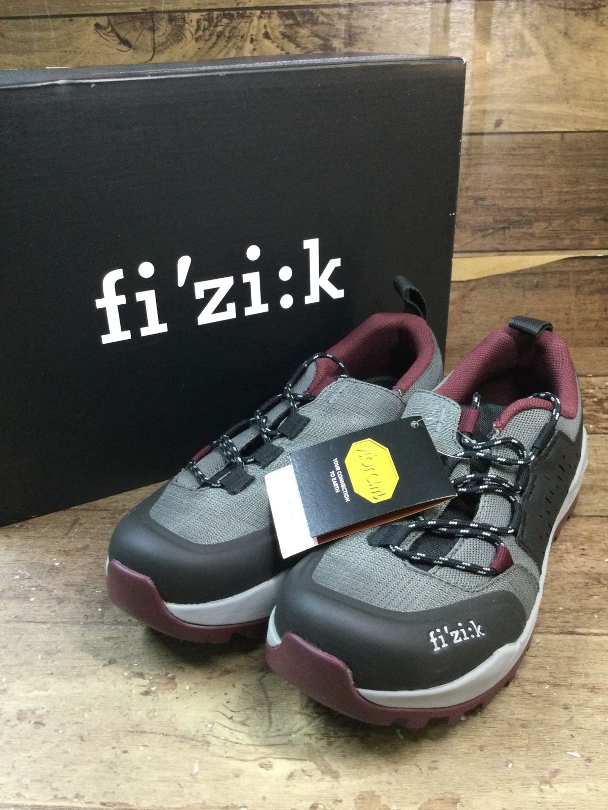GS251フィジークfizikテラエルゴレースTERRAERGOLACEビンディング