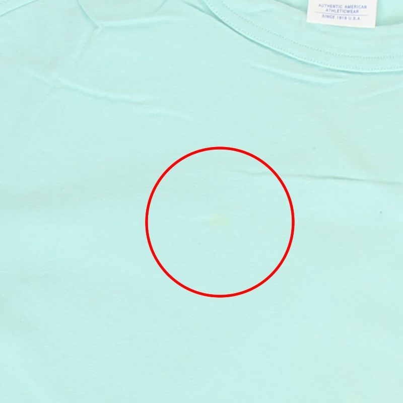 Champion C3-P300 MintGreen T-shirts 半袖 Tシャツ チャンピオン トップス ワンポイント ロゴマーク USED【チャンピオン 半袖Tシャツ  tシャツ クルーネック ミントグリーン 刺繍 CHAMPION ユーズド】