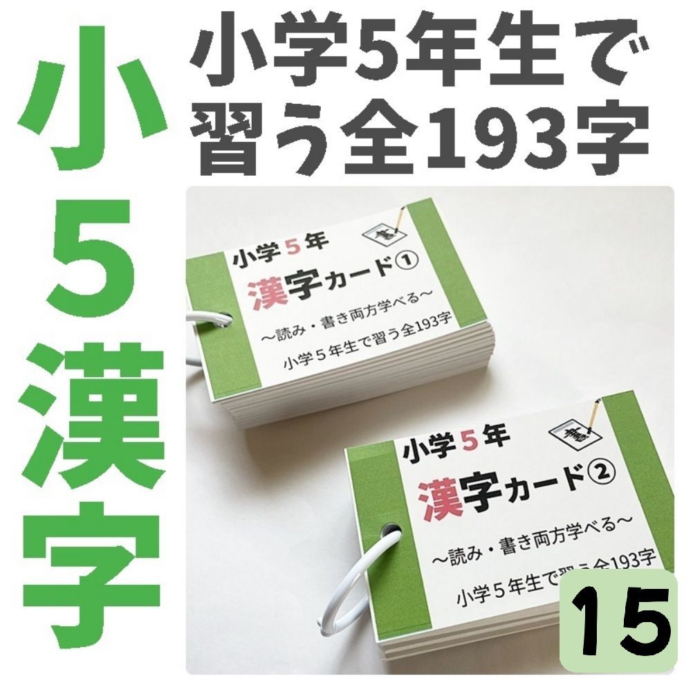 小学5年生 漢字カード 小5で習う漢字全193字 学習教材 漢検6級 国語