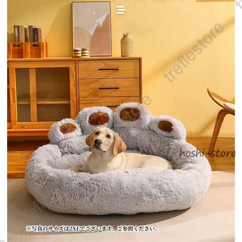 小型犬