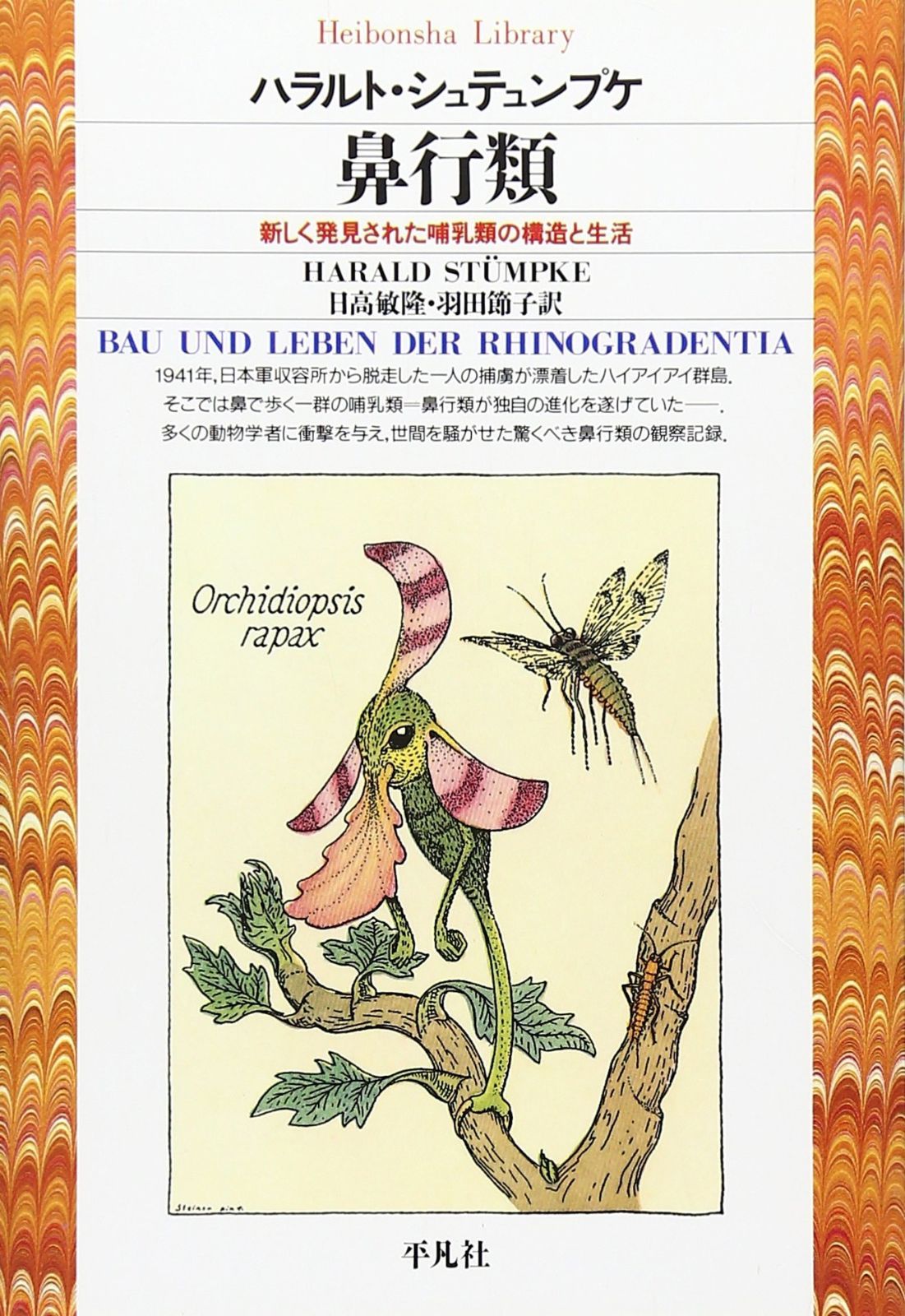 専用出品 KUMA様専用出品(*^^*) くま様専用出品