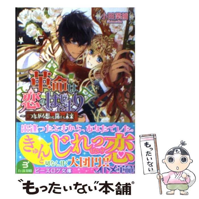 中古】 革命は恋のはじまり つながる想いと開ける未来 （ビーズログ