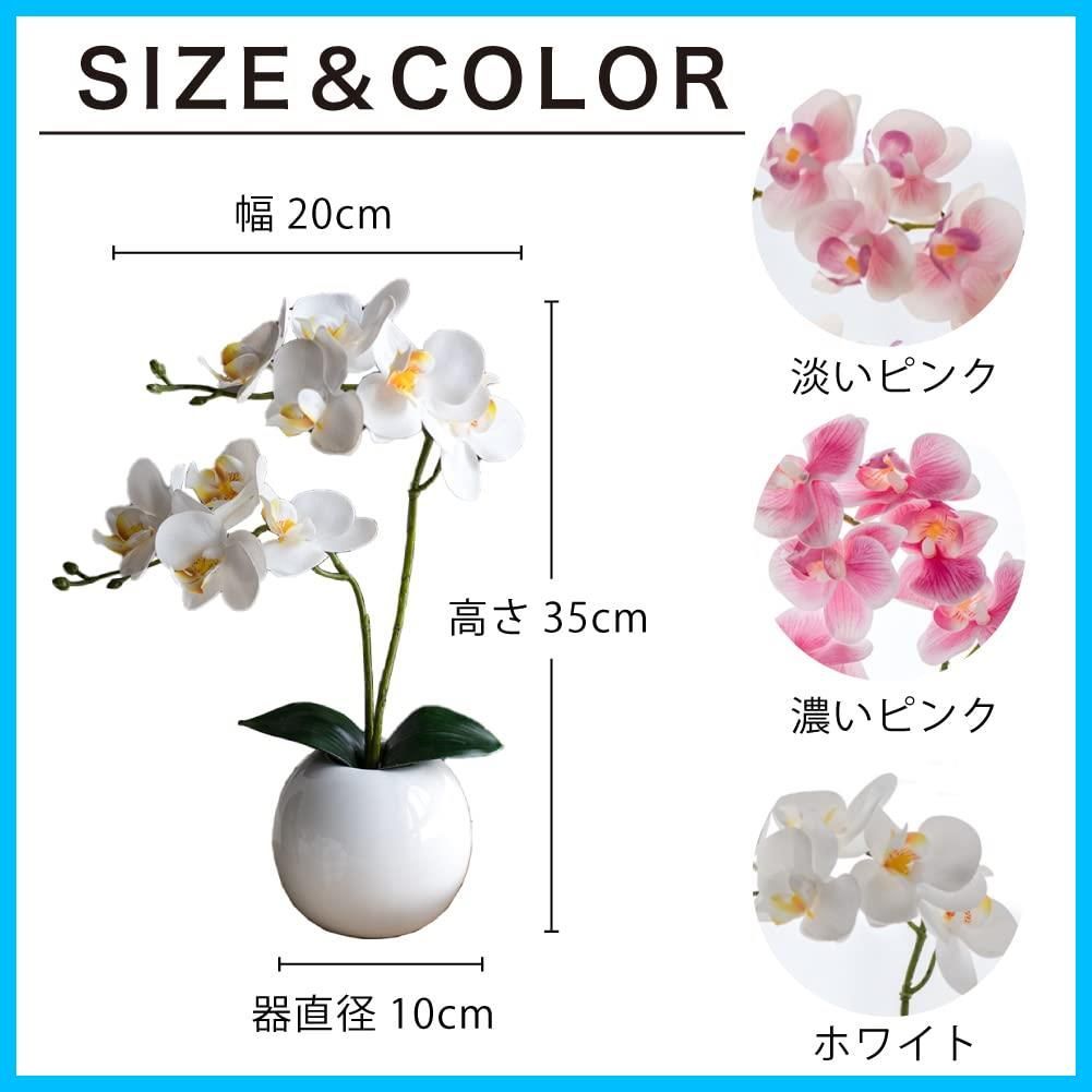 新着商品 敬老の日