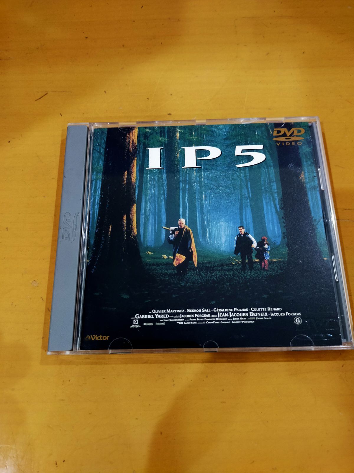 愛を探す旅人たち ジャンク品