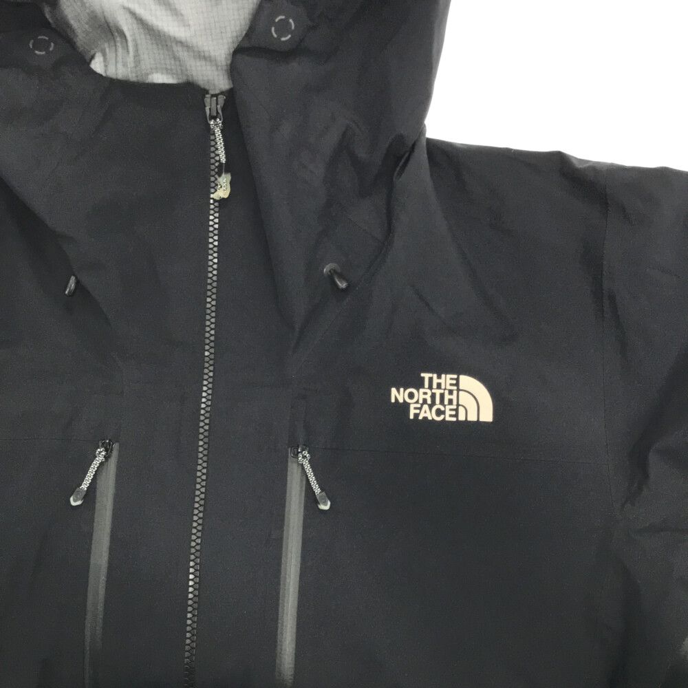 THE NORTH FACE (ザノースフェイス) SUMMIT SERIES GTX Pro