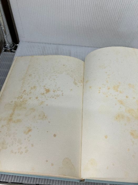 プレパレーション